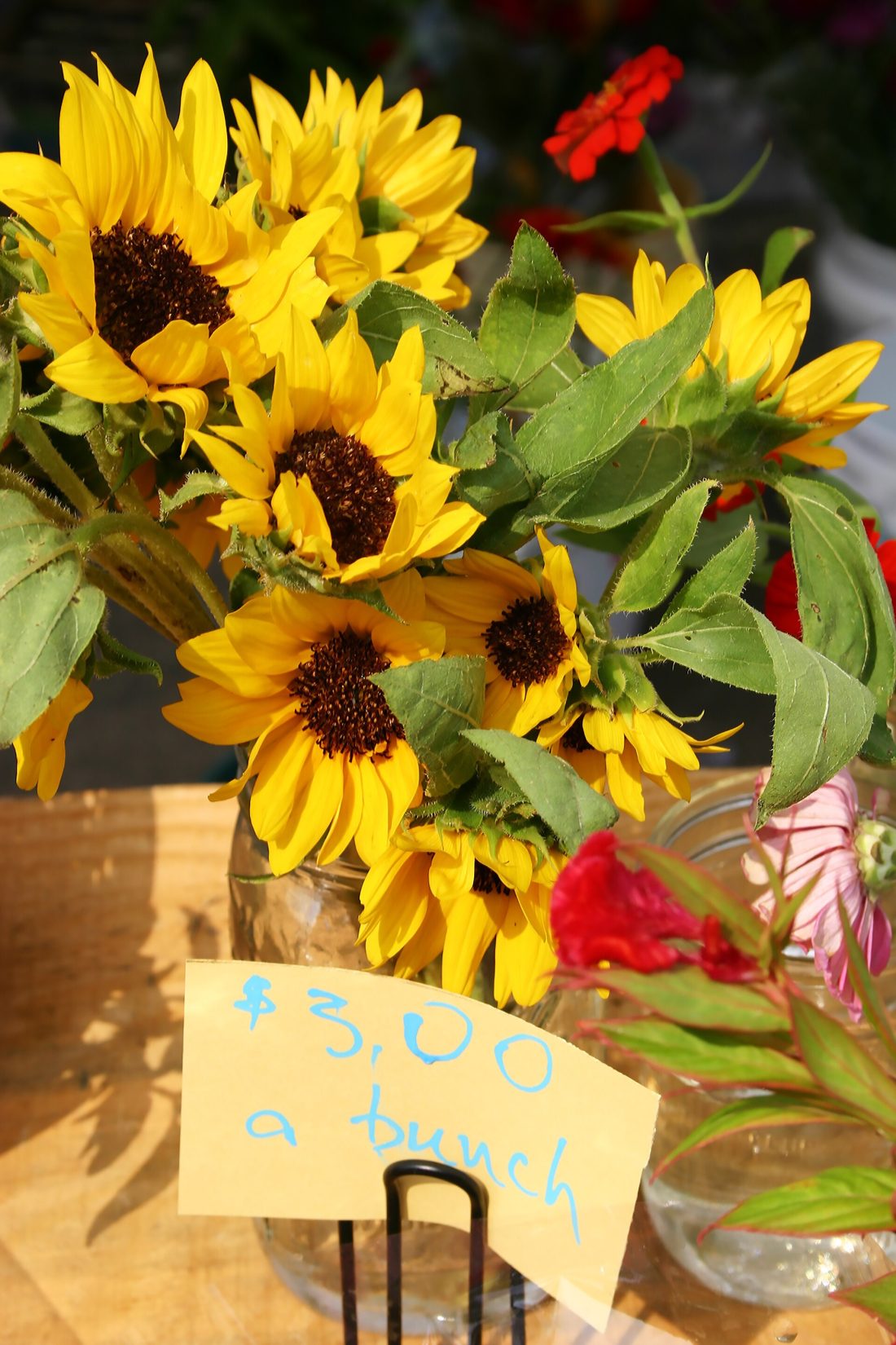 Bright sunflowers gathered for sale at a farmers market