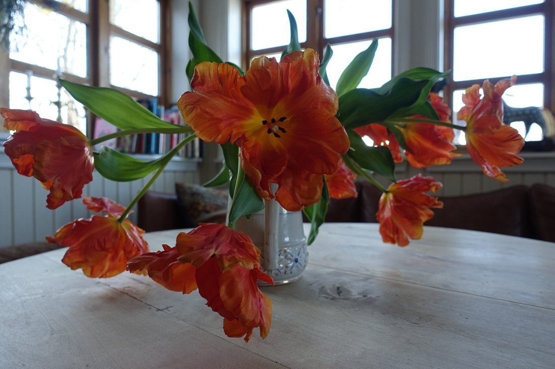 Vibrant orange and red tulips arranged in a vase on a table