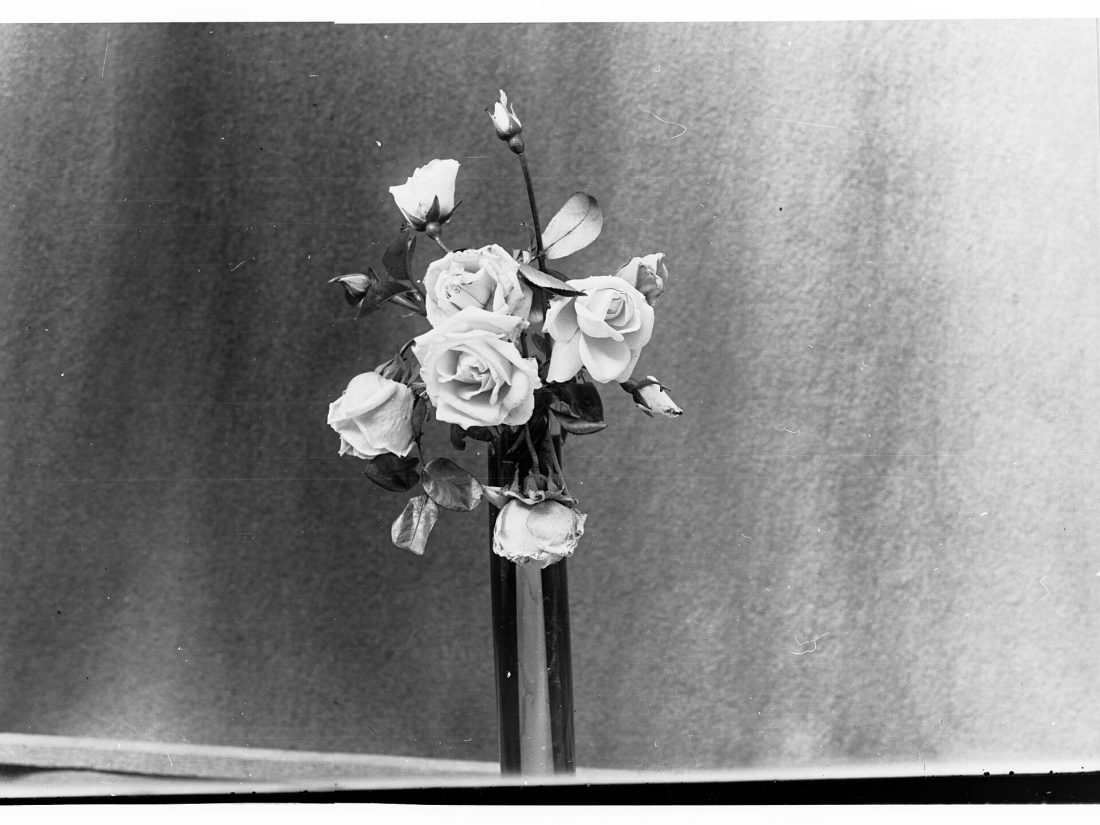 A simple, refined arrangement of roses in a clear vase