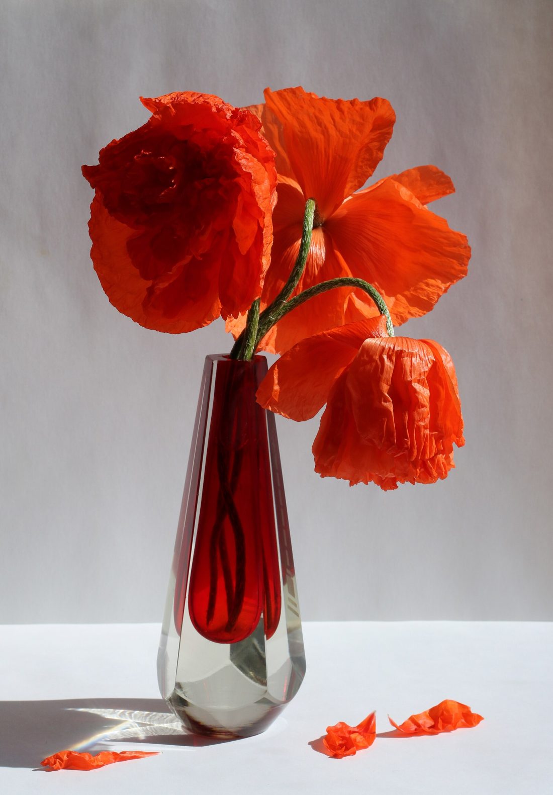 A bright bouquet of garden poppies